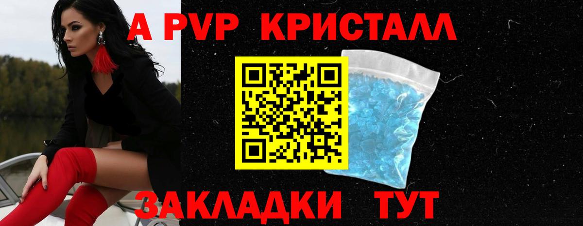 Альфа ПВП СК КРИС Тосно