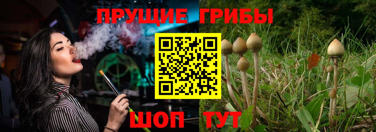 Галлюциногенные грибы MAGIC MUSHROOMS Тосно