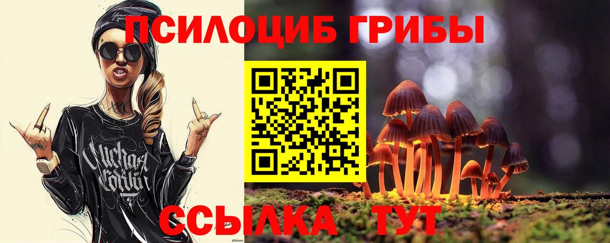 Псилоцибиновые грибы MAGIC MUSHROOMS  Вход с VPN  Тосно 